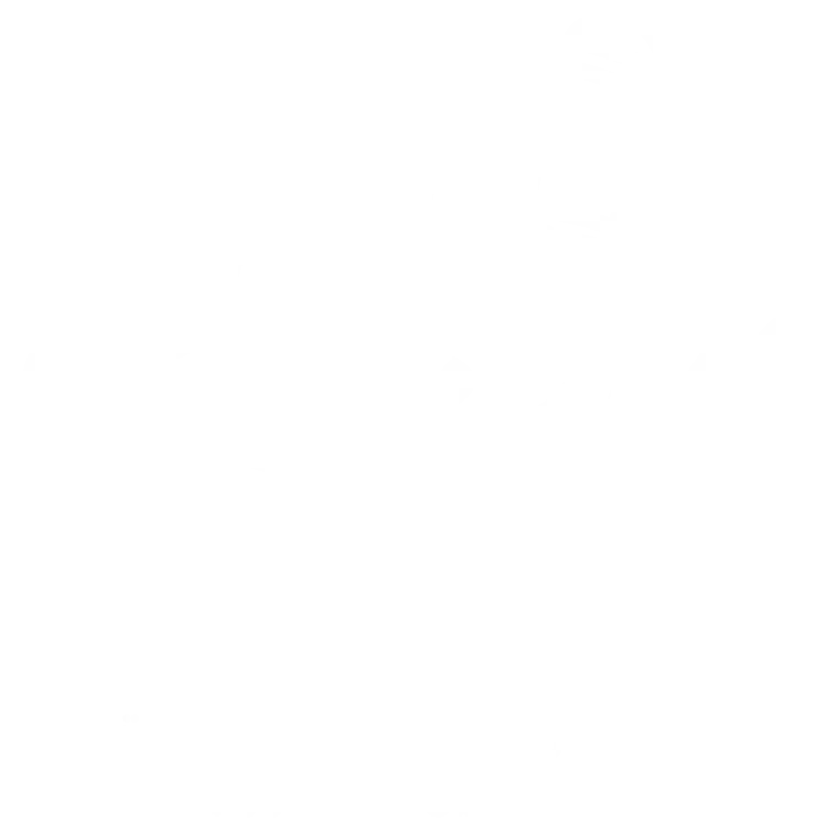 صوت الشارع
