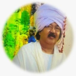 صورة تاج السر محمدحامد